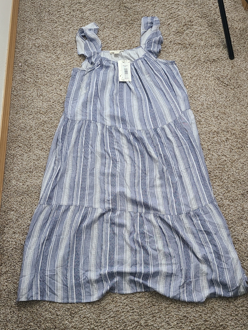 Ecothreads Blue Striped Maxi Dress